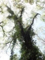 20180426161610