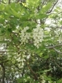 20180426161624