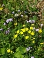 20180428211944