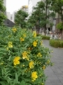 20180519150626
