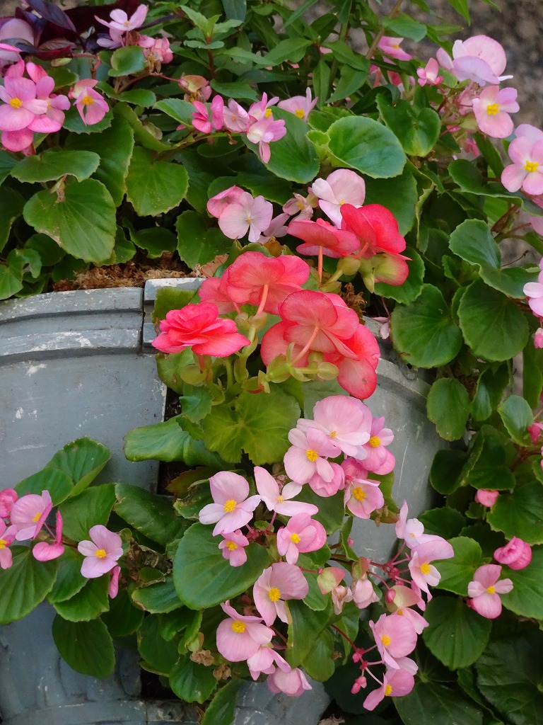 f:id:art2nd:20181026142355j:plain f:id:art2nd:20181026142355j:plain