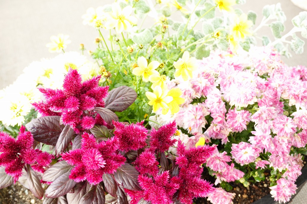 f:id:art2nd:20181124100603j:plain f:id:art2nd:20181124100603j:plain