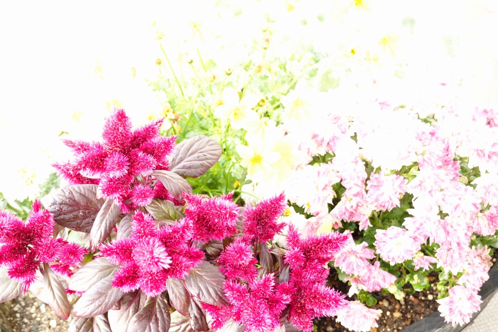 f:id:art2nd:20181124100626j:plain f:id:art2nd:20181124100626j:plain