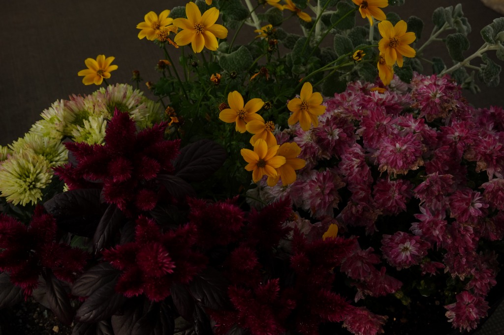 f:id:art2nd:20181124100705j:plain f:id:art2nd:20181124100705j:plain