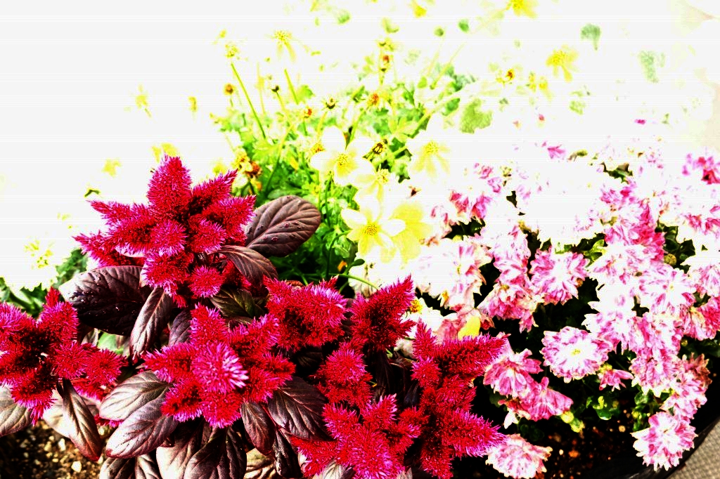f:id:art2nd:20181124100816j:plain f:id:art2nd:20181124100816j:plain