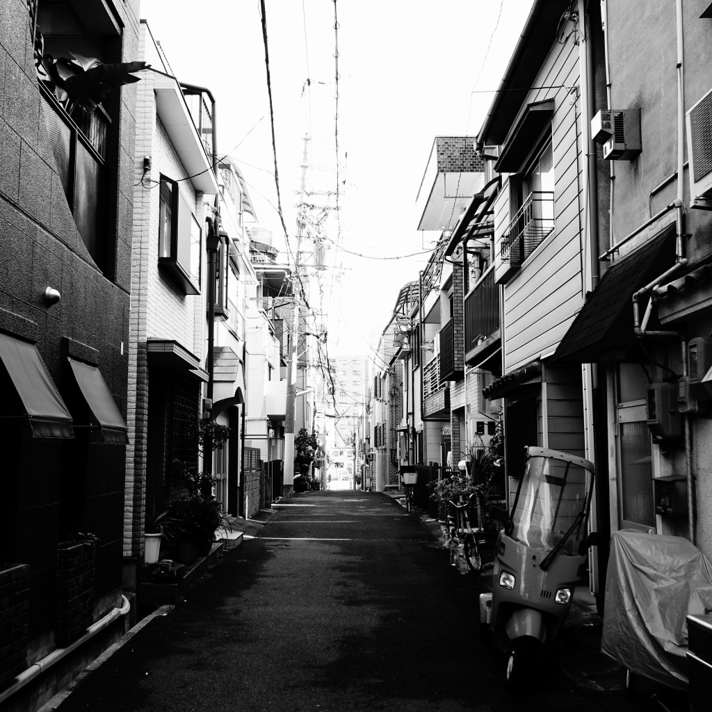 f:id:art2nd:20181221152347j:plain f:id:art2nd:20181221152347j:plain