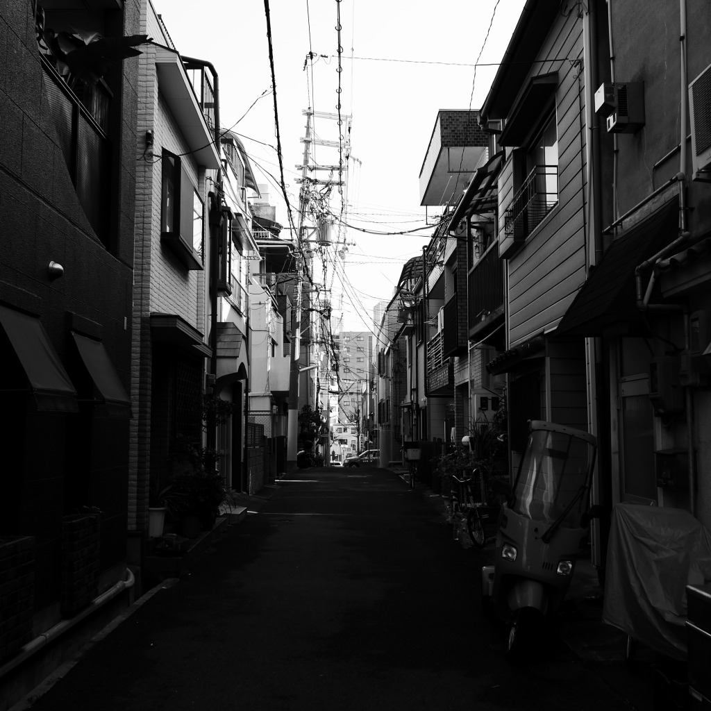 f:id:art2nd:20181221152505j:plain f:id:art2nd:20181221152505j:plain