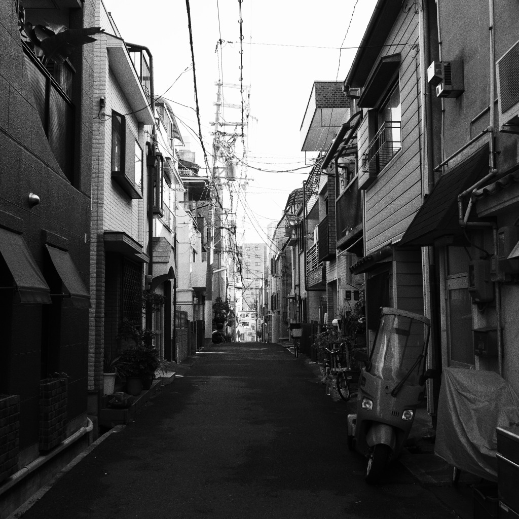 f:id:art2nd:20181221152527j:plain f:id:art2nd:20181221152527j:plain
