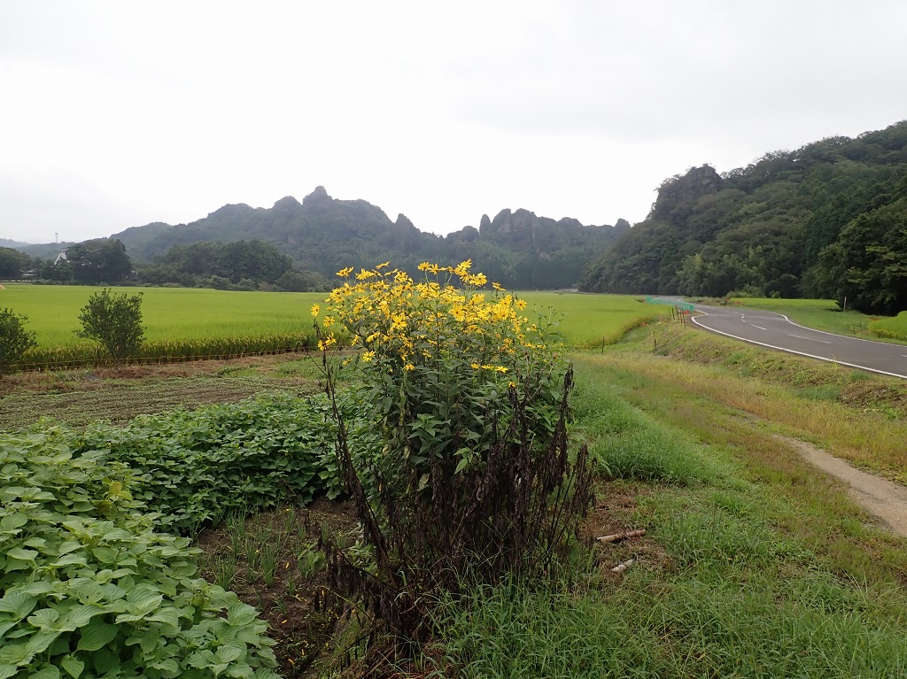 f:id:art2nd:20190121151212j:plain f:id:art2nd:20190121151212j:plain