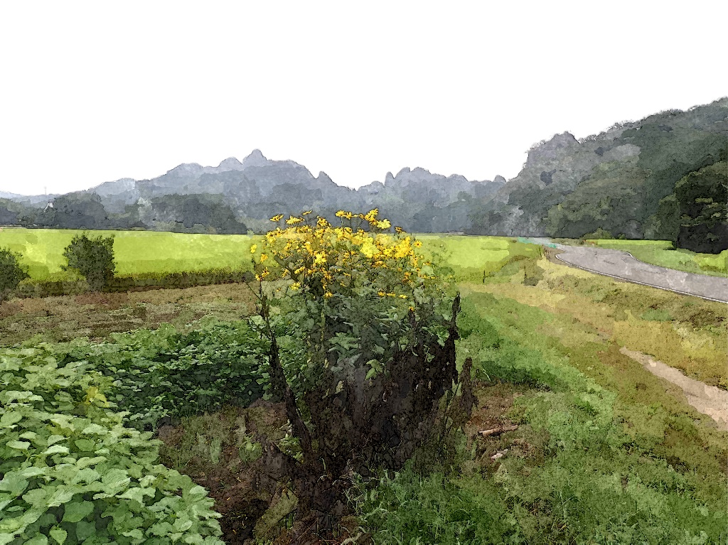 f:id:art2nd:20190121151247j:plain f:id:art2nd:20190121151247j:plain