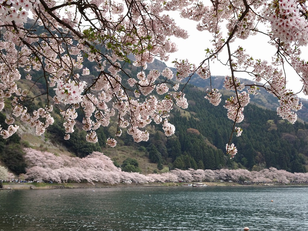 f:id:art2nd:20190121154313j:plain f:id:art2nd:20190121154313j:plain