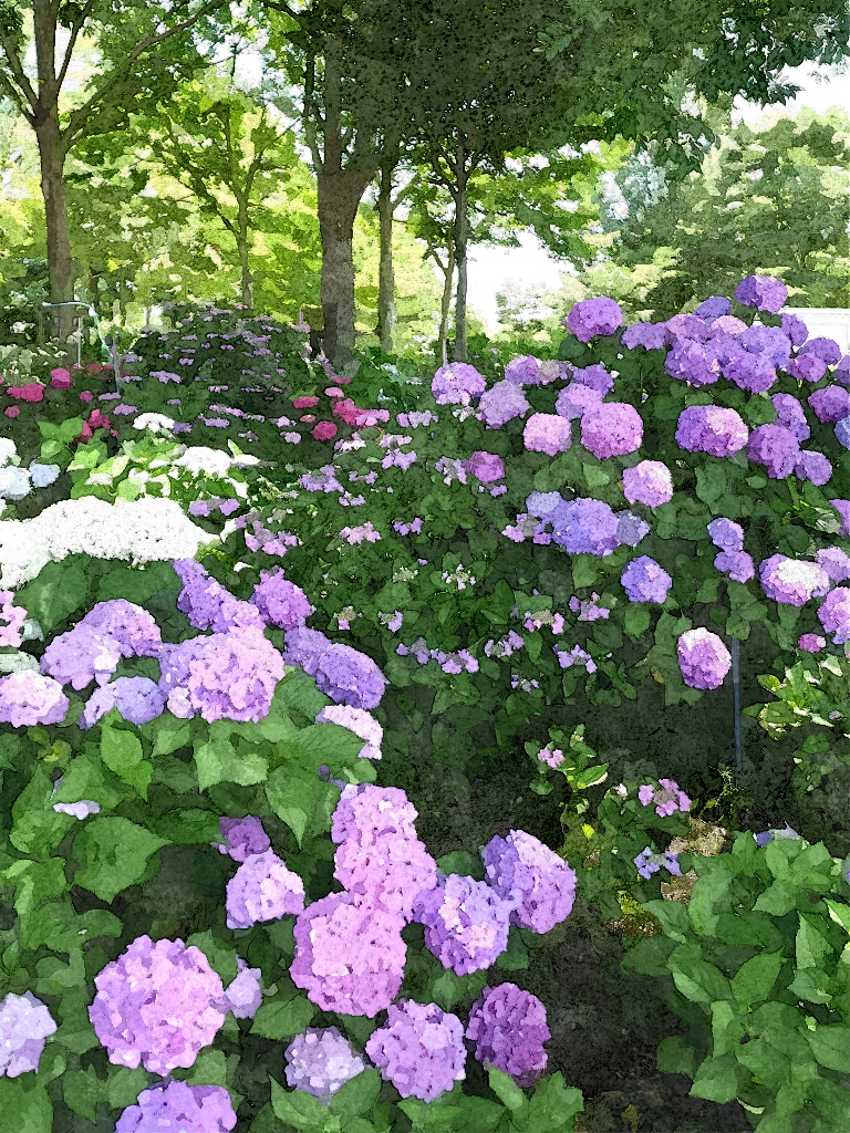 f:id:art2nd:20190121163945j:plain f:id:art2nd:20190121163945j:plain