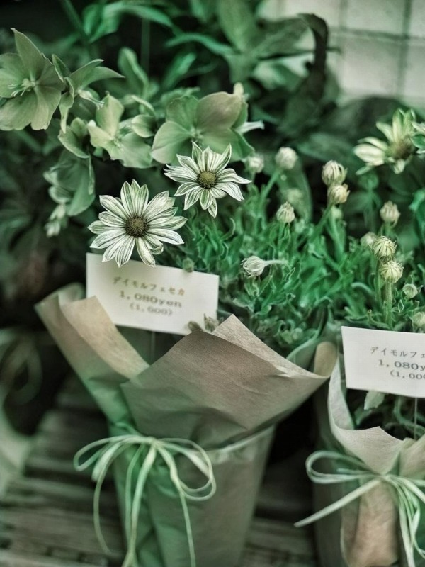 f:id:art2nd:20190815152200j:plain f:id:art2nd:20190815152200j:plain