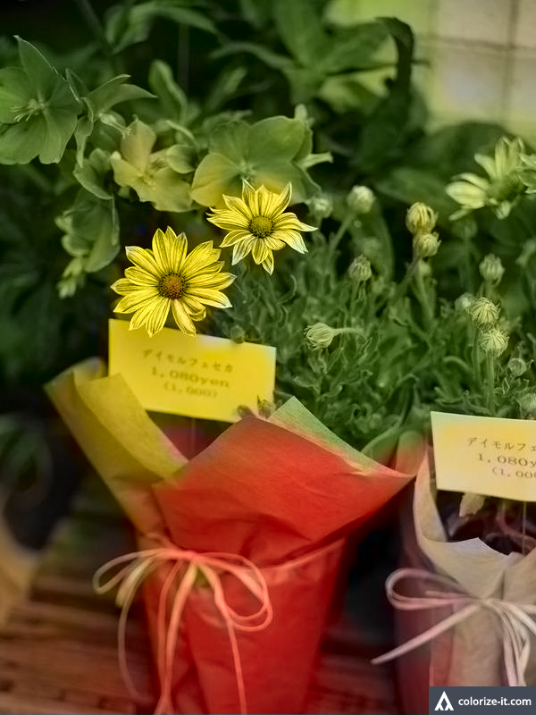 f:id:art2nd:20190815152439p:plain f:id:art2nd:20190815152439p:plain