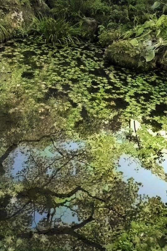 f:id:art2nd:20190815152544j:plain f:id:art2nd:20190815152544j:plain