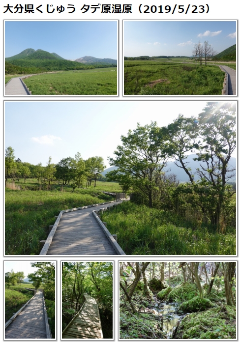 f:id:art2nd:20190909195109j:plain f:id:art2nd:20190909195109j:plain