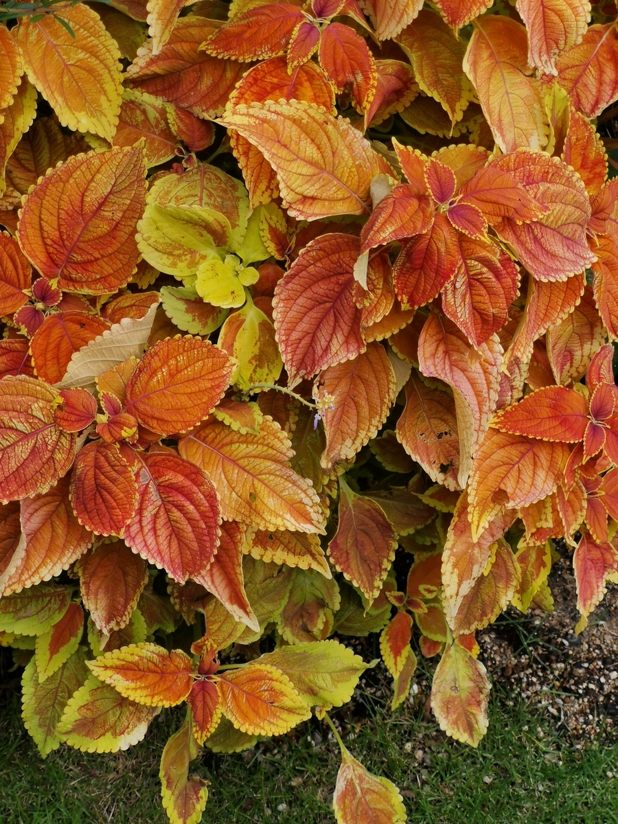 f:id:art2nd:20190929222749j:plain f:id:art2nd:20190929222749j:plain