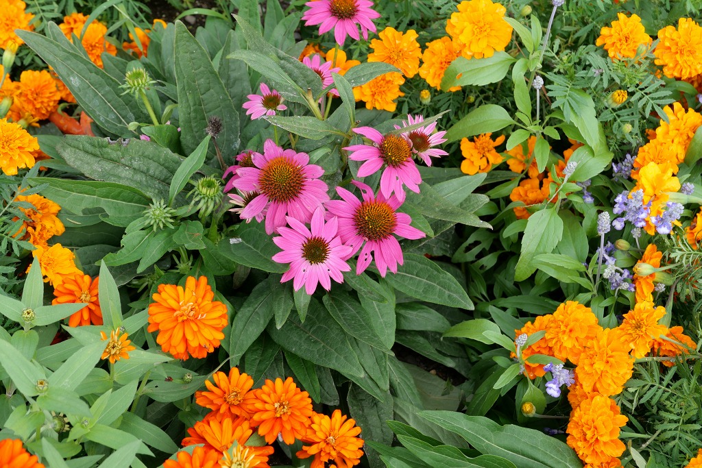f:id:art2nd:20191101213809j:plain f:id:art2nd:20191101213809j:plain