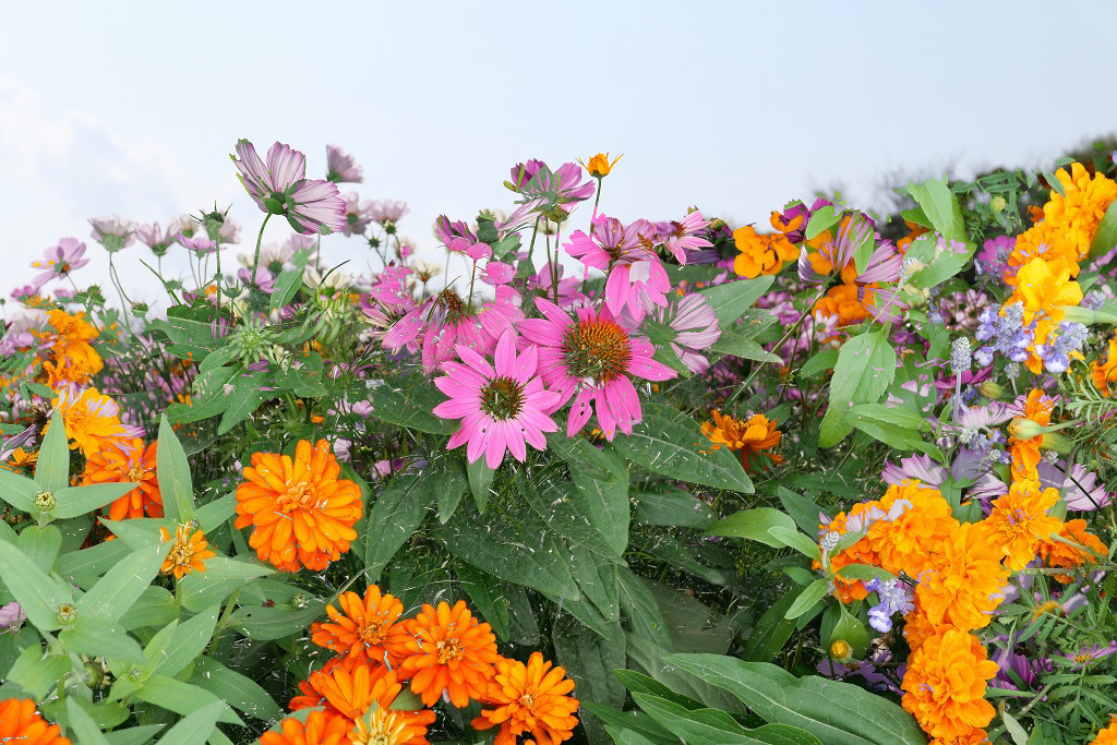 f:id:art2nd:20191101214139j:plain f:id:art2nd:20191101214139j:plain