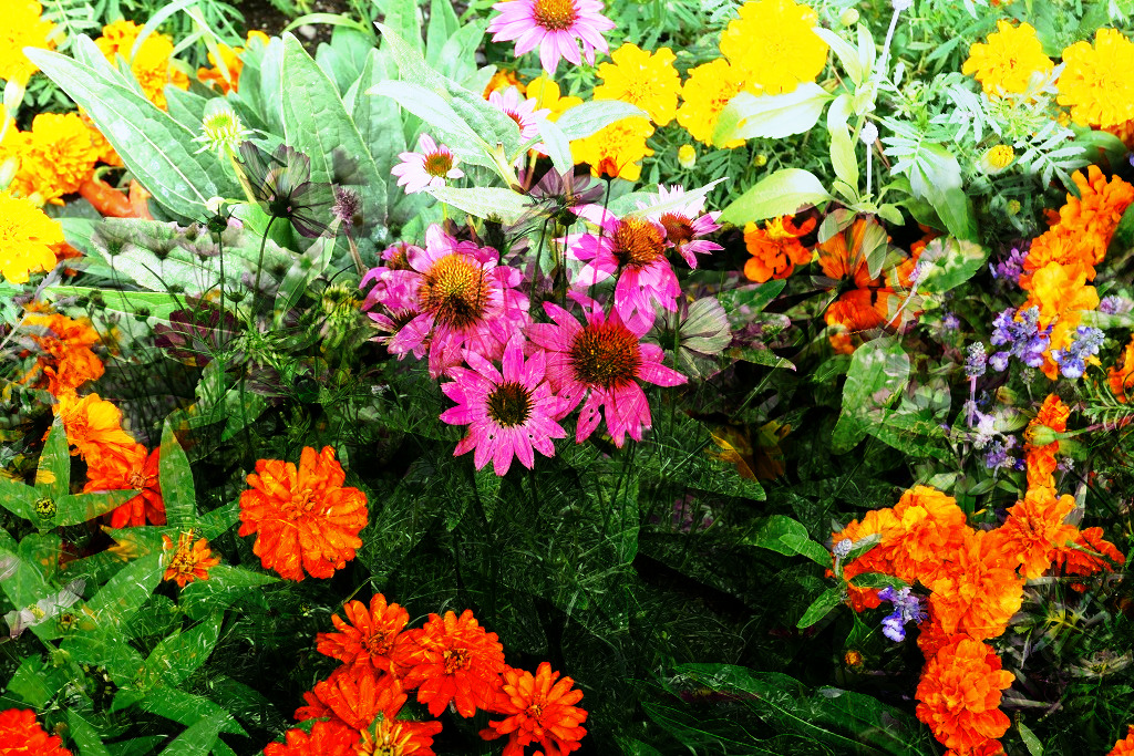 f:id:art2nd:20191101214326j:plain f:id:art2nd:20191101214326j:plain