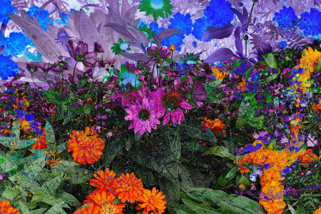 f:id:art2nd:20191101214424j:plain f:id:art2nd:20191101214424j:plain