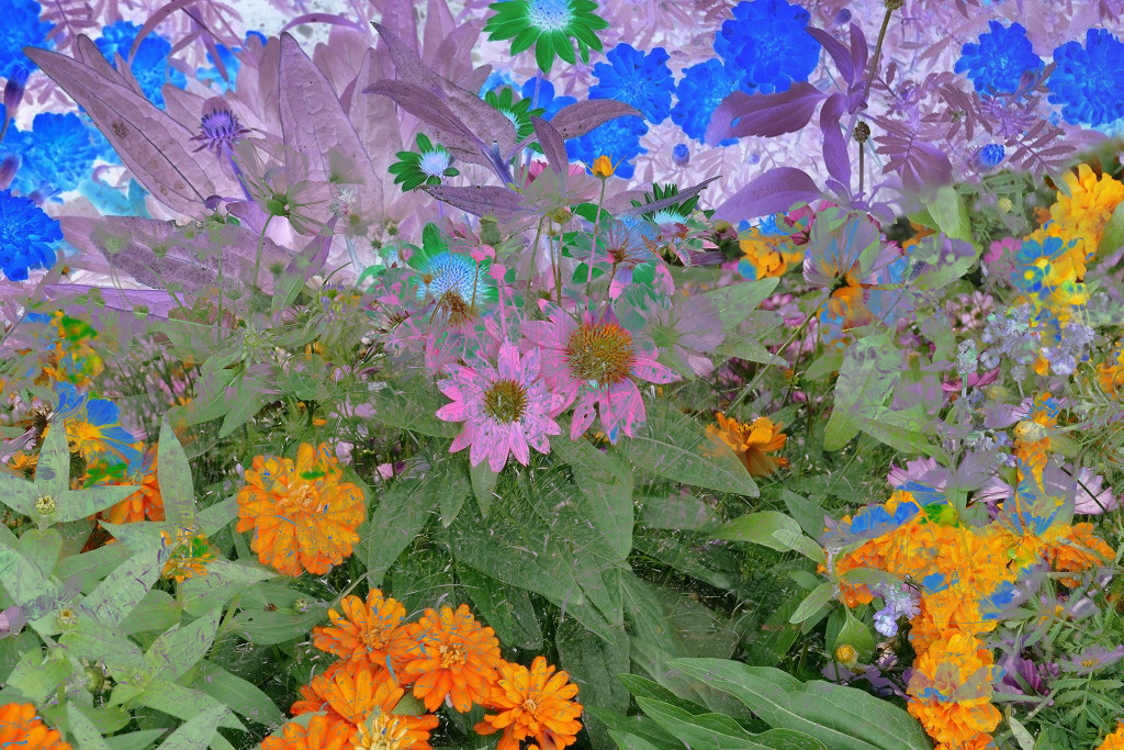 f:id:art2nd:20191101214508j:plain f:id:art2nd:20191101214508j:plain