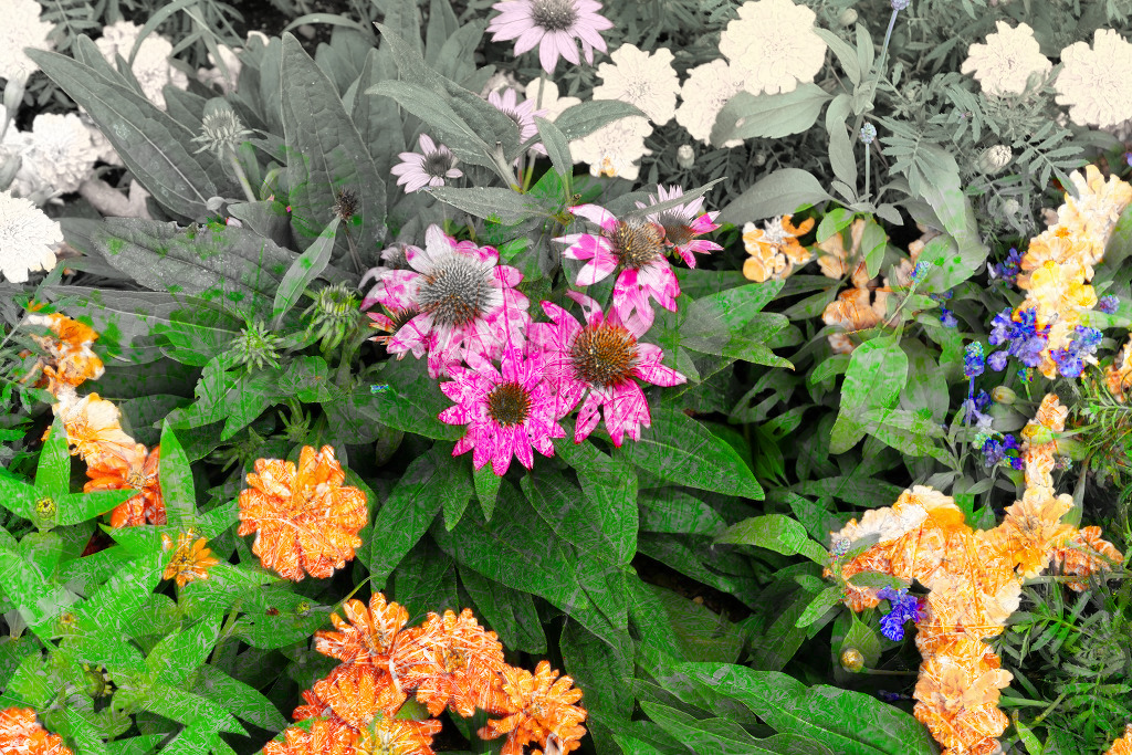 f:id:art2nd:20191101214545j:plain f:id:art2nd:20191101214545j:plain