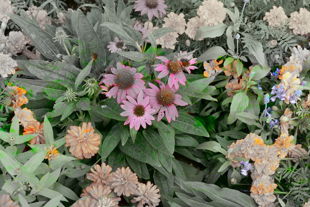 f:id:art2nd:20191101214624j:plain f:id:art2nd:20191101214624j:plain