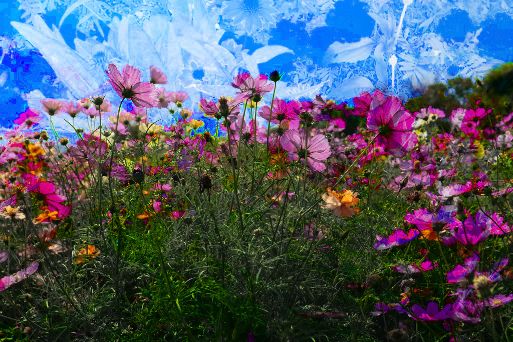 f:id:art2nd:20191101221850j:plain f:id:art2nd:20191101221850j:plain