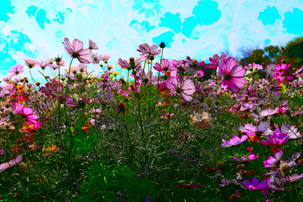 f:id:art2nd:20191101221920j:plain f:id:art2nd:20191101221920j:plain