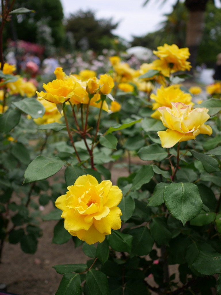 f:id:art2nd:20191213171030j:plain f:id:art2nd:20191213171030j:plain