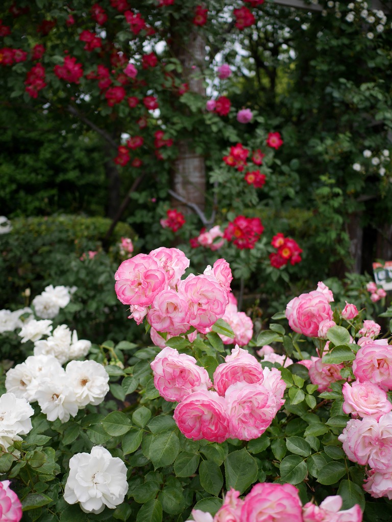 f:id:art2nd:20191213171044j:plain f:id:art2nd:20191213171044j:plain