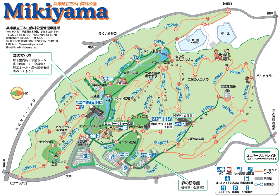兵庫県立三木山森林公園。野鳥、ホオジロ、シジュウカラ、ホオジロ