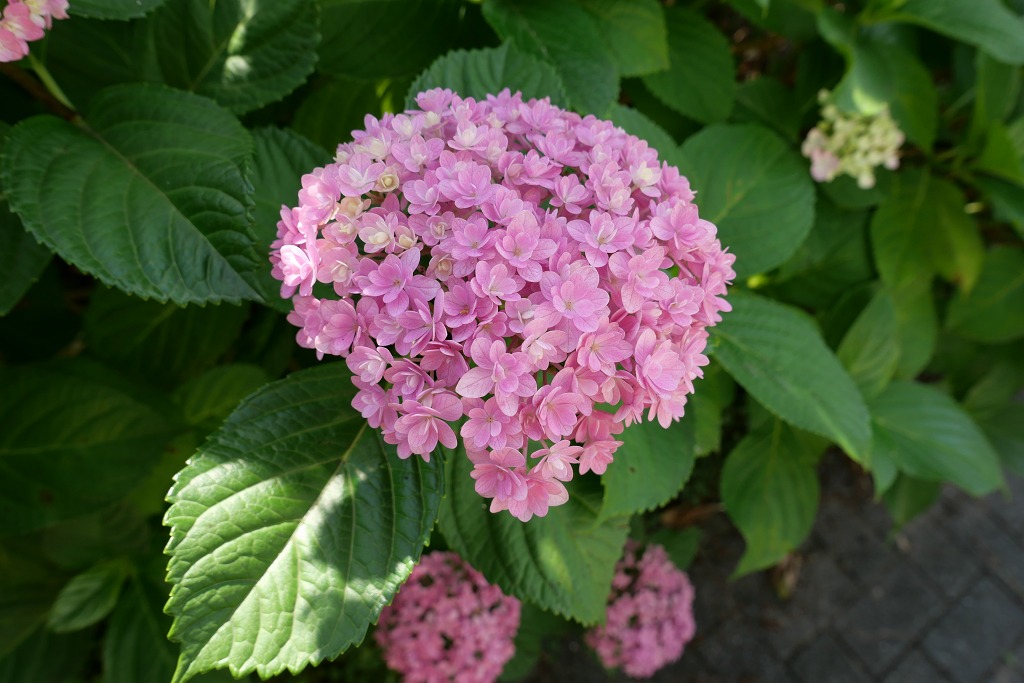 f:id:art2nd:20200704123439j:plain f:id:art2nd:20200704123439j:plain