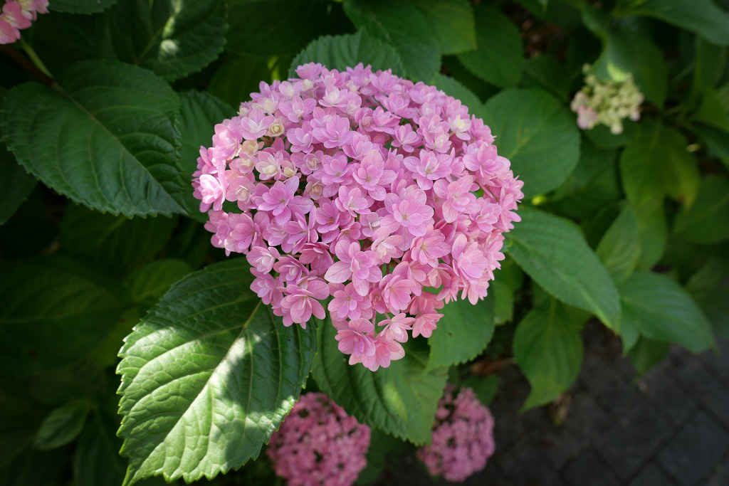 f:id:art2nd:20200704124506j:plain f:id:art2nd:20200704124506j:plain