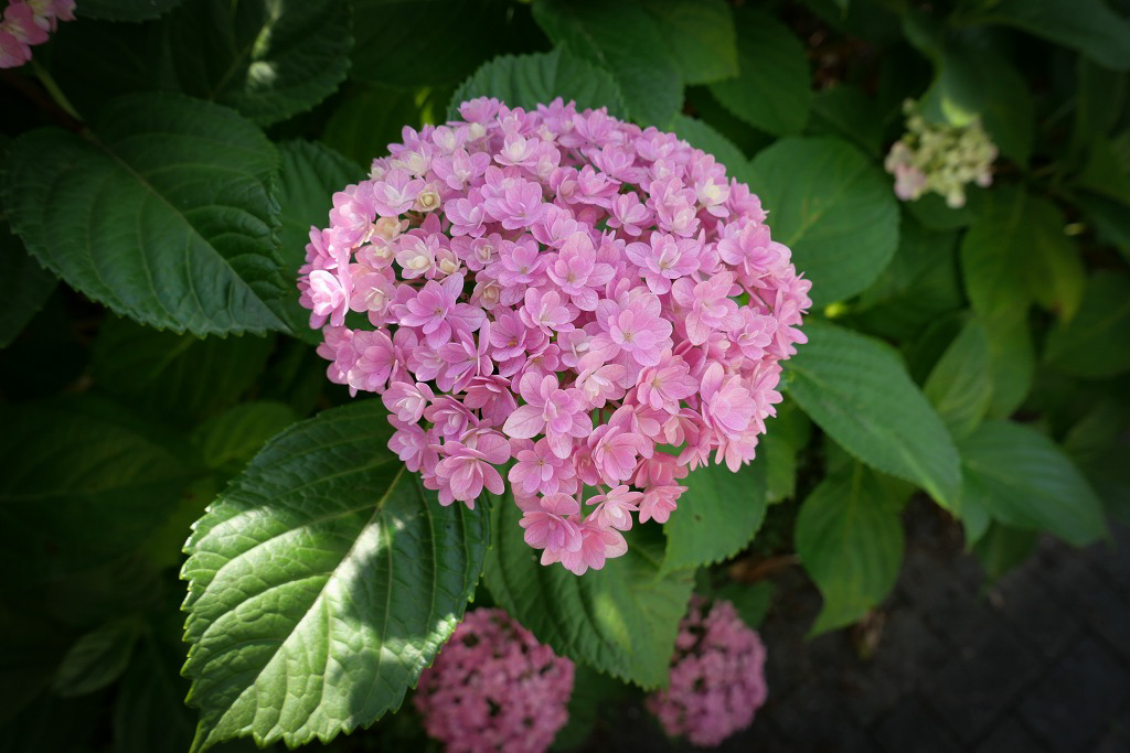 f:id:art2nd:20200704124522j:plain f:id:art2nd:20200704124522j:plain