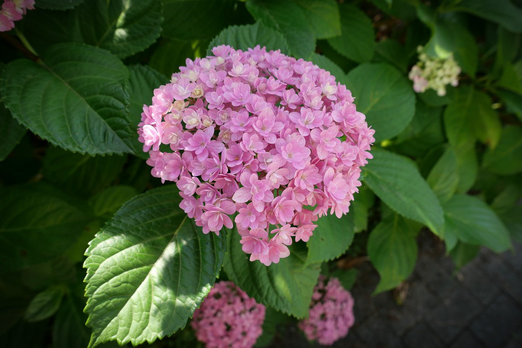 f:id:art2nd:20200704124541j:plain f:id:art2nd:20200704124541j:plain