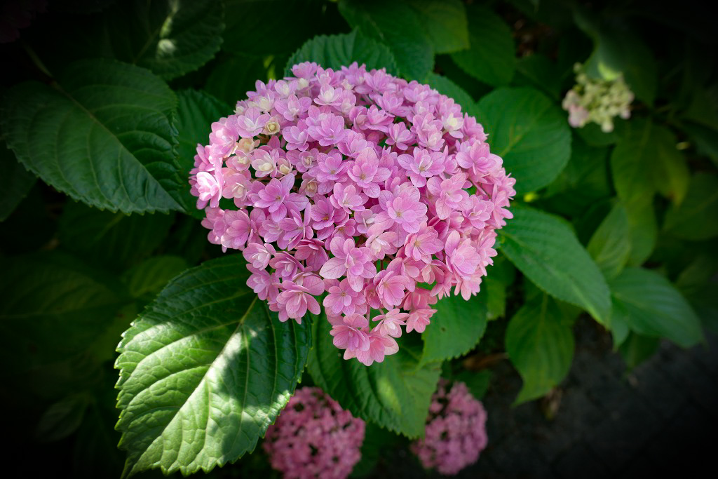 f:id:art2nd:20200704124844j:plain f:id:art2nd:20200704124844j:plain