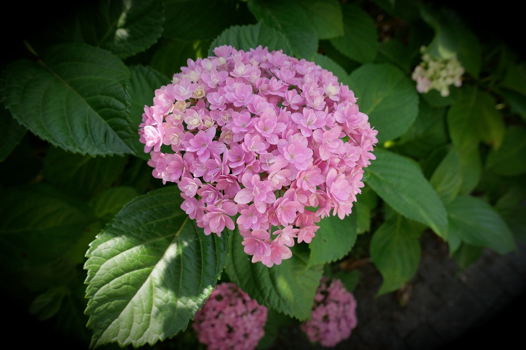 f:id:art2nd:20200704125210j:plain f:id:art2nd:20200704125210j:plain