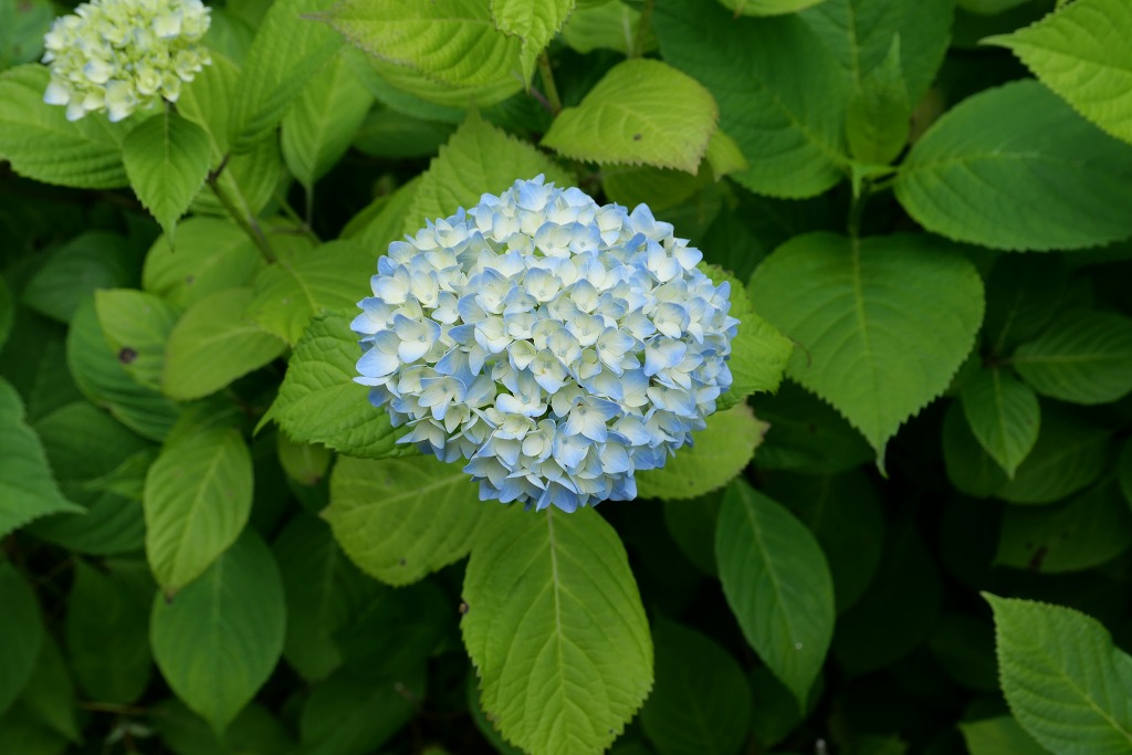 f:id:art2nd:20200704131051j:plain f:id:art2nd:20200704131051j:plain