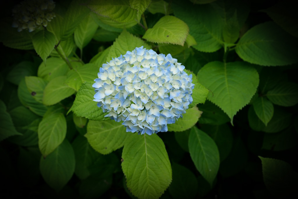 f:id:art2nd:20200704131112j:plain f:id:art2nd:20200704131112j:plain