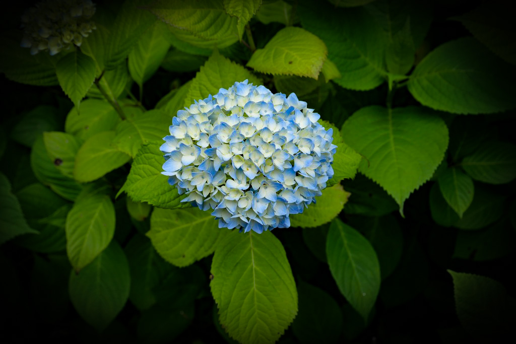 f:id:art2nd:20200704131219j:plain f:id:art2nd:20200704131219j:plain