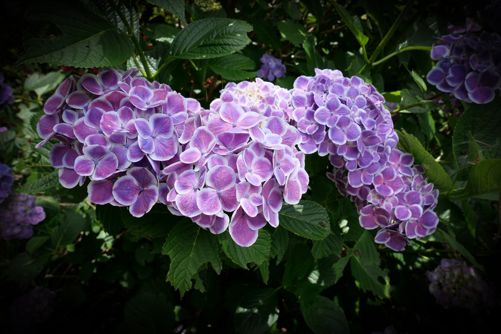 f:id:art2nd:20200704131243j:plain f:id:art2nd:20200704131243j:plain