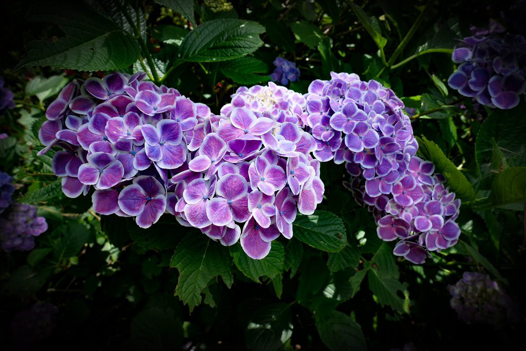 f:id:art2nd:20200704131253j:plain f:id:art2nd:20200704131253j:plain