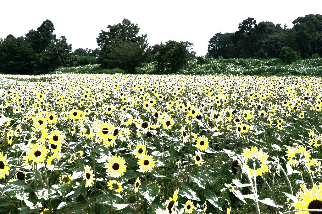 f:id:art2nd:20200809155026j:plain f:id:art2nd:20200809155026j:plain