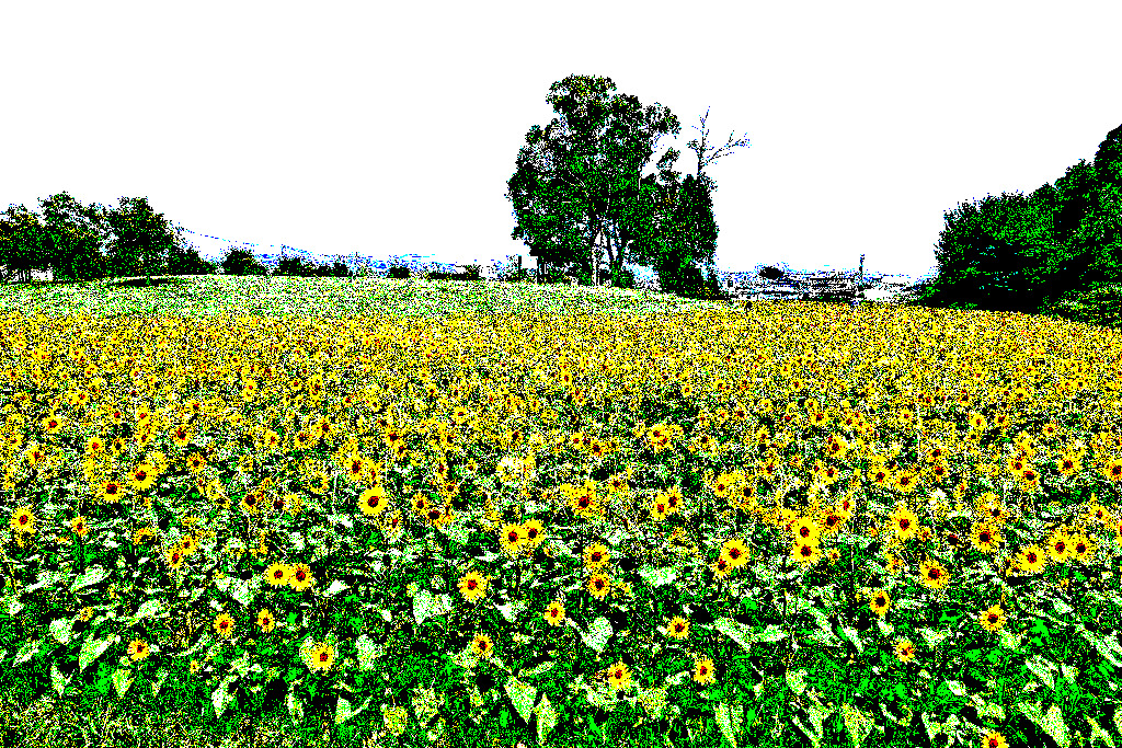 f:id:art2nd:20200811154626j:plain f:id:art2nd:20200811154626j:plain