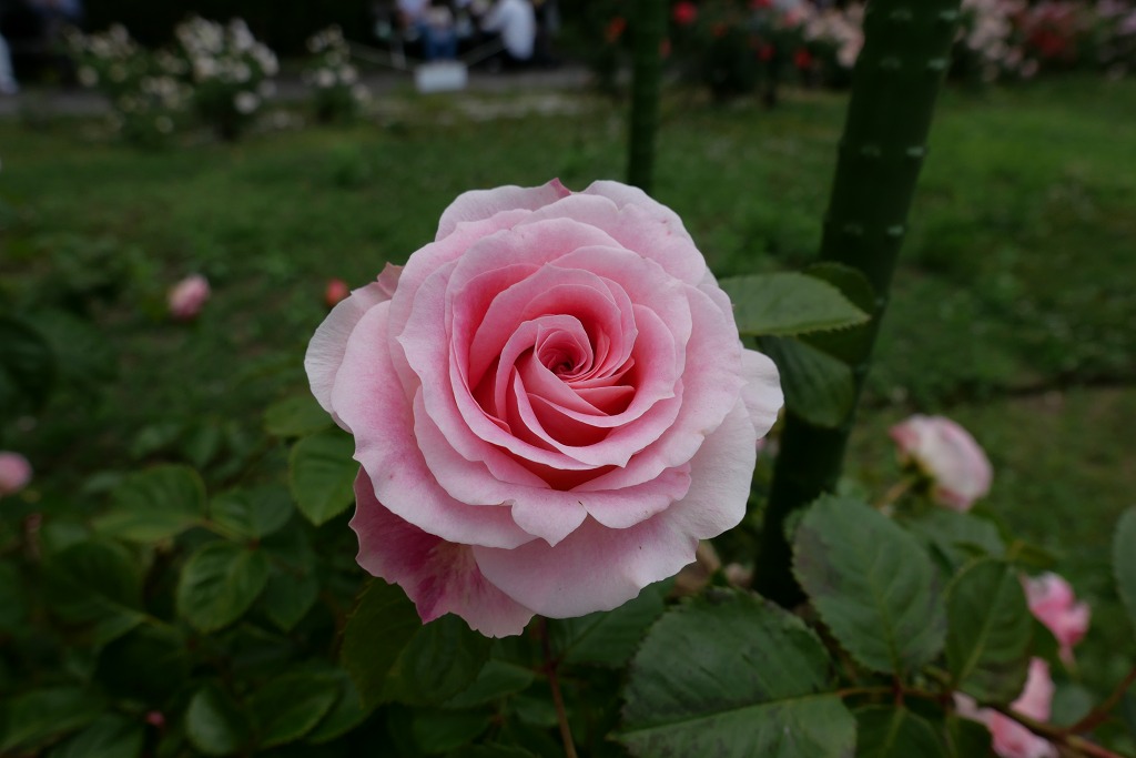 f:id:art2nd:20200816134708j:plain f:id:art2nd:20200816134708j:plain