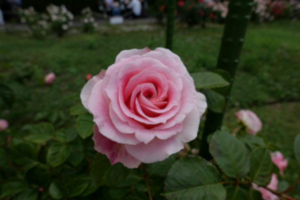 f:id:art2nd:20200816135624j:plain f:id:art2nd:20200816135624j:plain