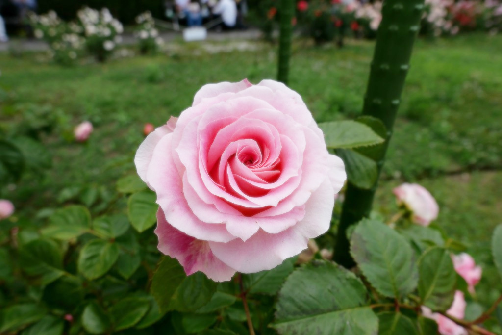 f:id:art2nd:20200816140625j:plain f:id:art2nd:20200816140625j:plain