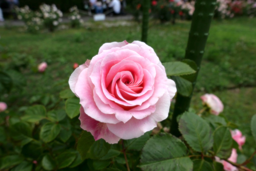 f:id:art2nd:20200816140641j:plain f:id:art2nd:20200816140641j:plain